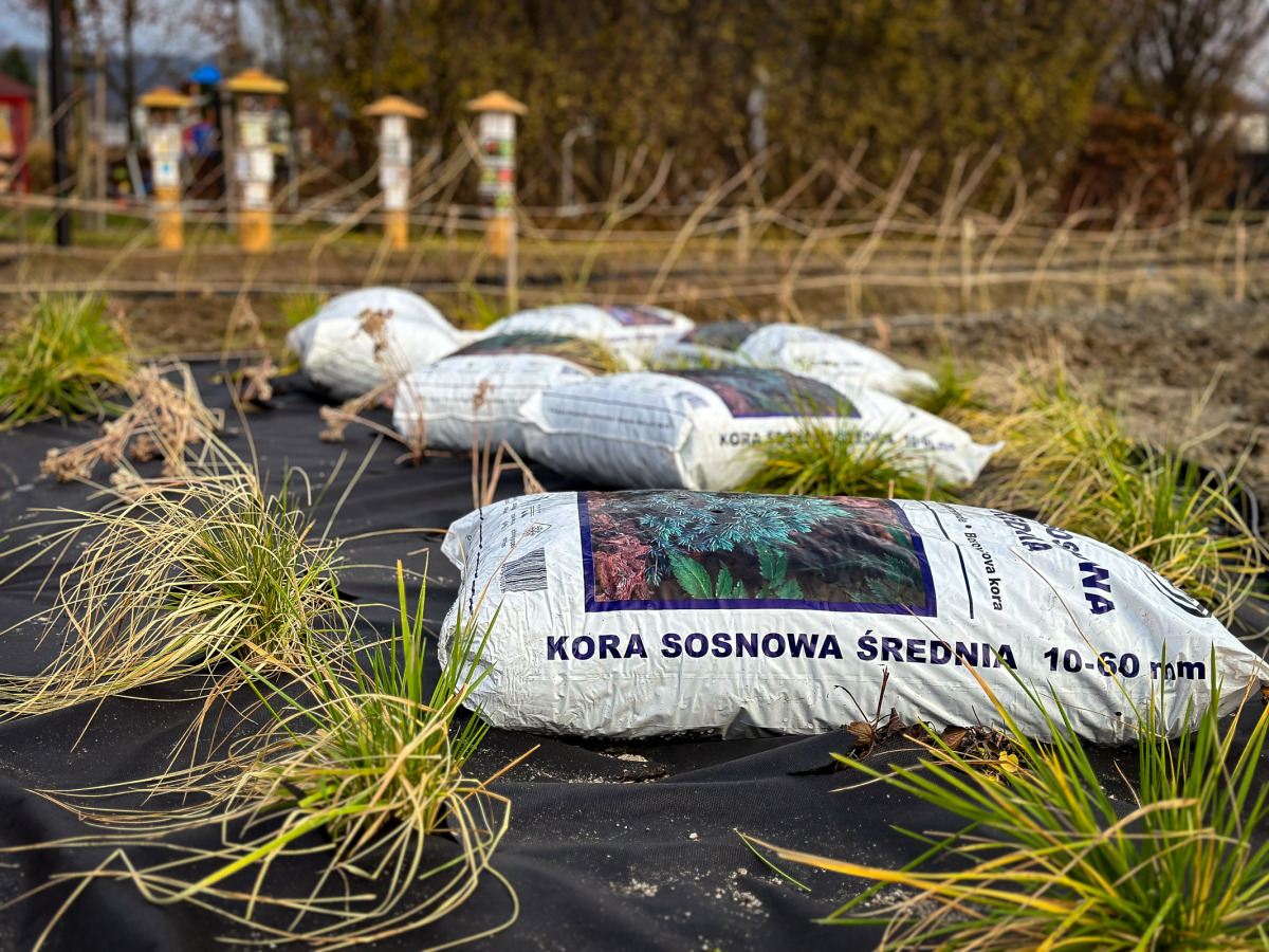 Rzeszów - Budowa ogrodu kieszonkowego na osiedlu Biała [grudzień 2024]