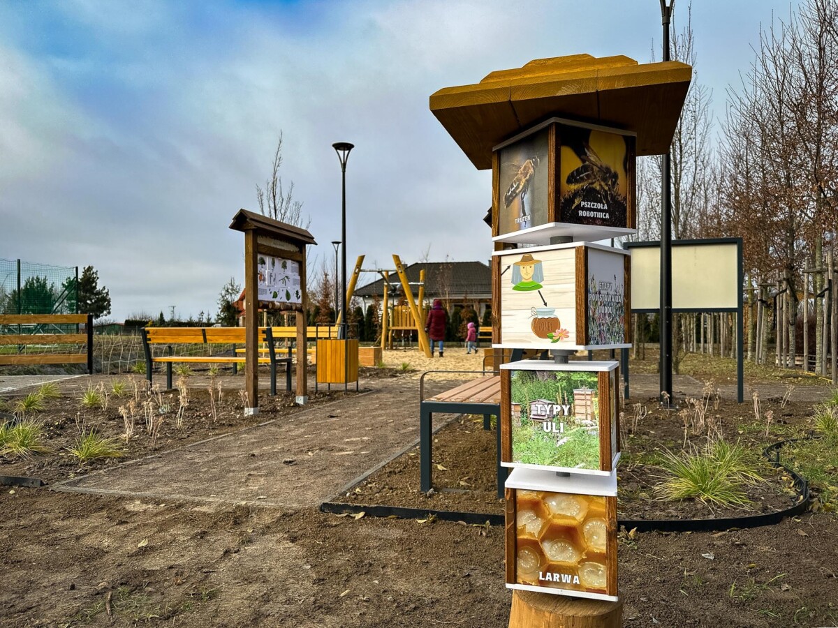 Rzeszów - Budowa ogrodu kieszonkowego na osiedlu Biała [grudzień 2024]