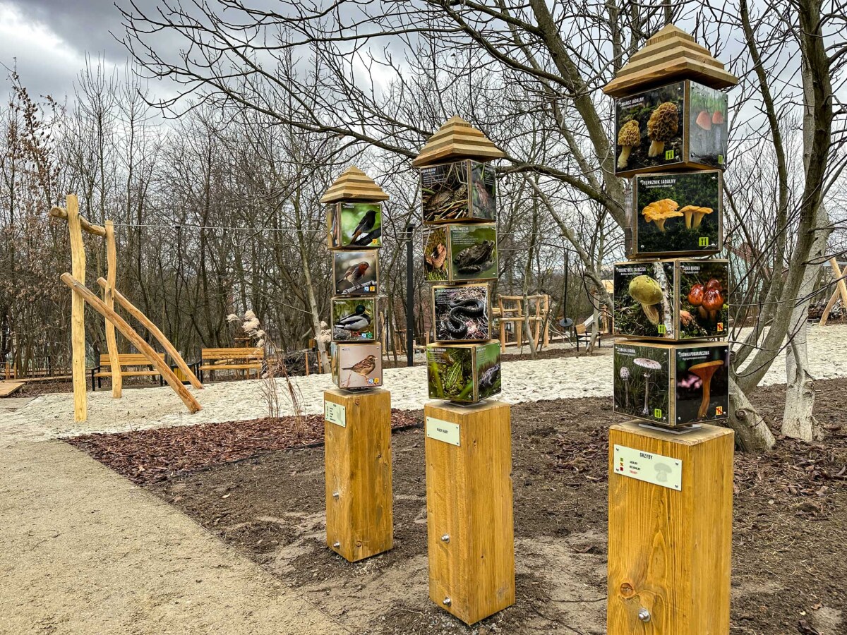 Rzeszów - Ogród kieszonkowy na osiedlu Pobitno [grudzień 2024]