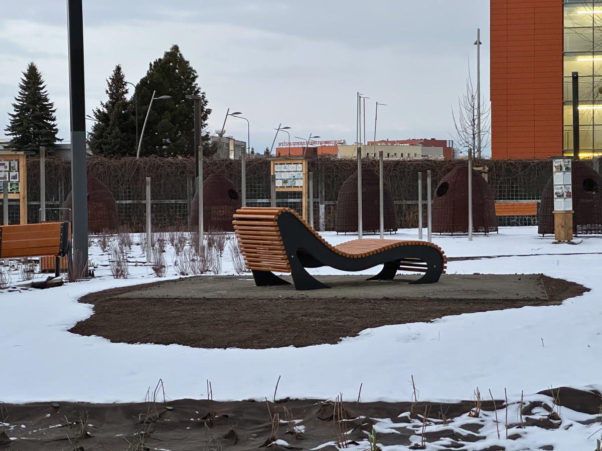 Rzeszów - Budowa ogrodu kieszonkowego na osiedlu Nowe Miasto [styczeń 2025]