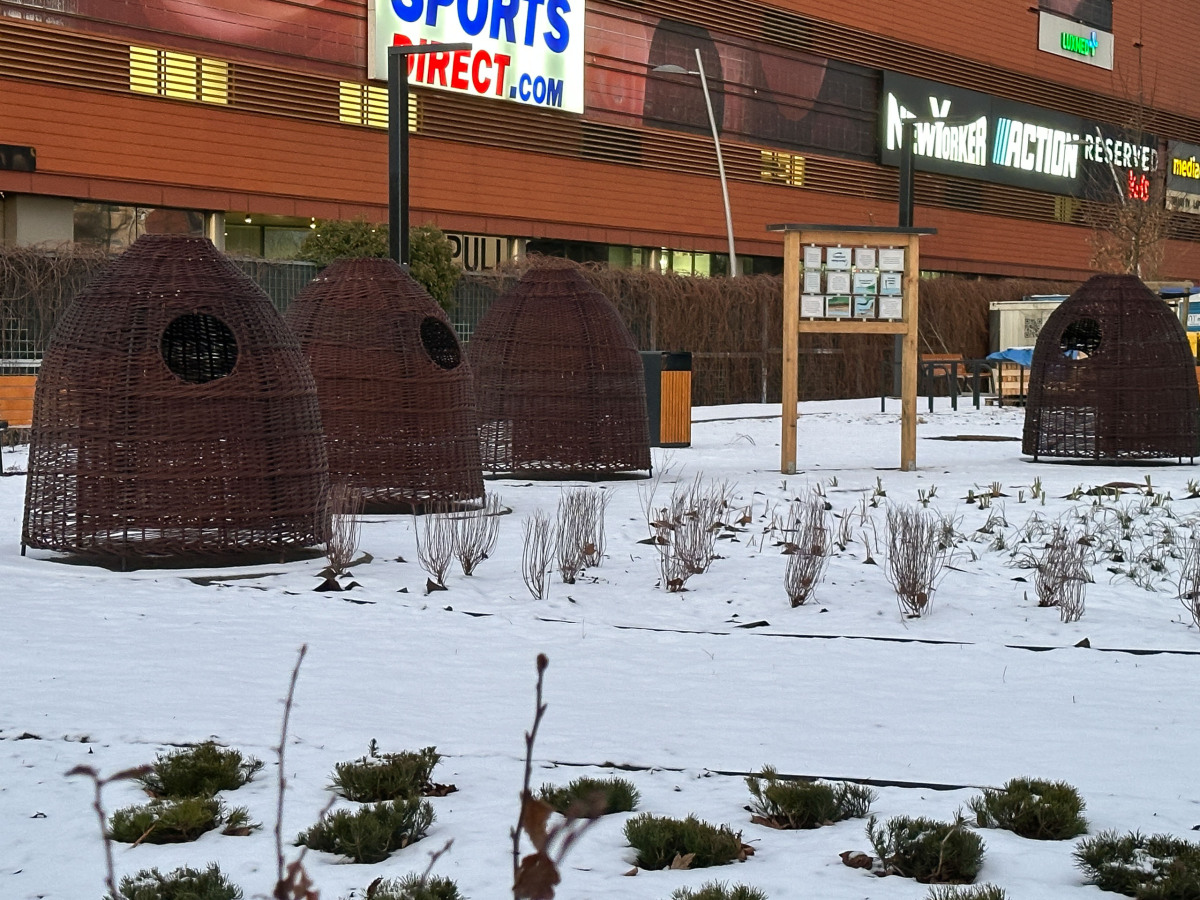 Rzeszów - Budowa ogrodu kieszonkowego na osiedlu Nowe Miasto [styczeń 2025]