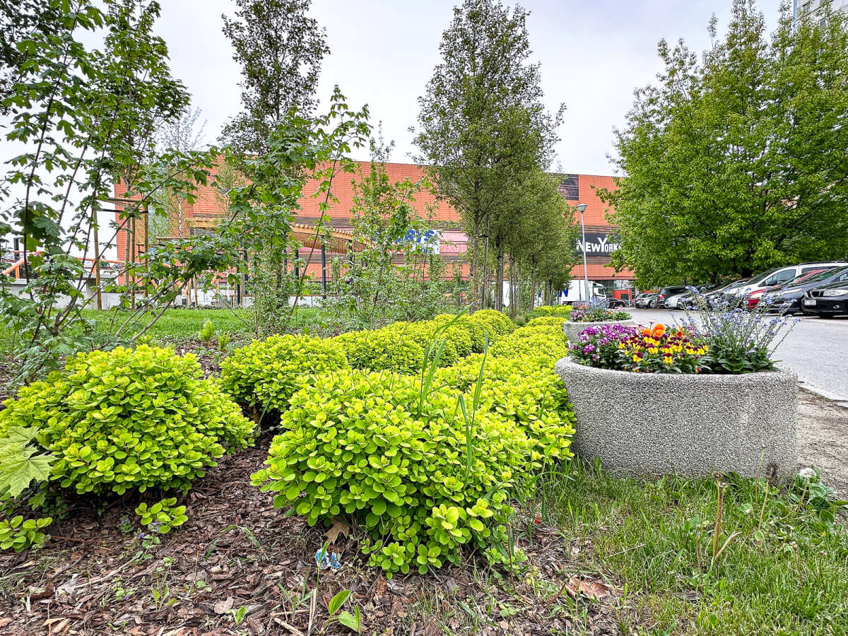 Rzeszów - Nowy ogród kieszonkowy na osiedlu Nowe Miasto
