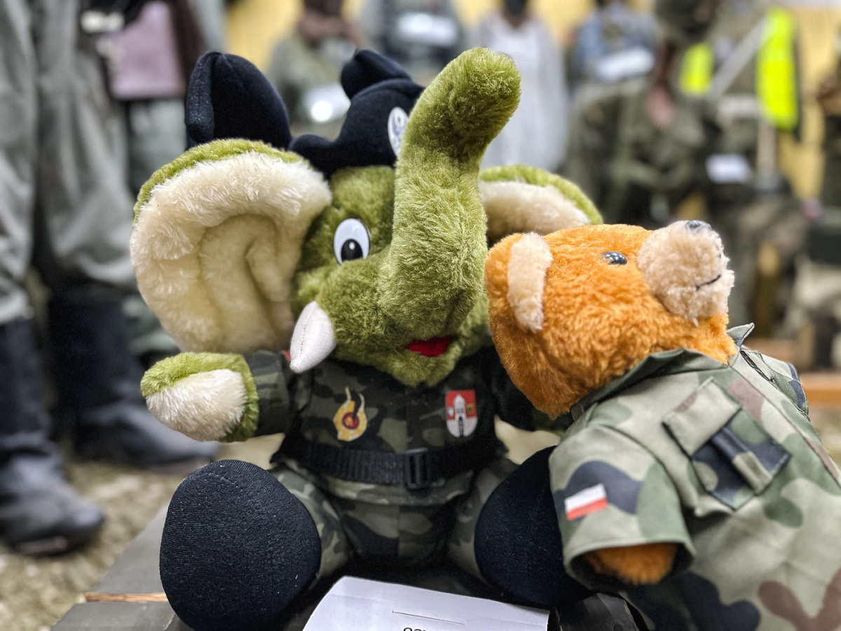 Rzeszów - Noc Muzeów 2025: Muzeum Techniki i Militariów, PSSK i PLK