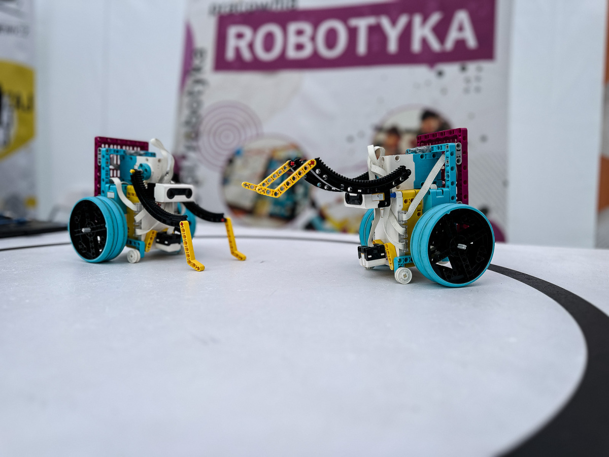 Rzeszów - Piknik Nauki Eksploracje 2025: Sobota Pełna Wrażeń