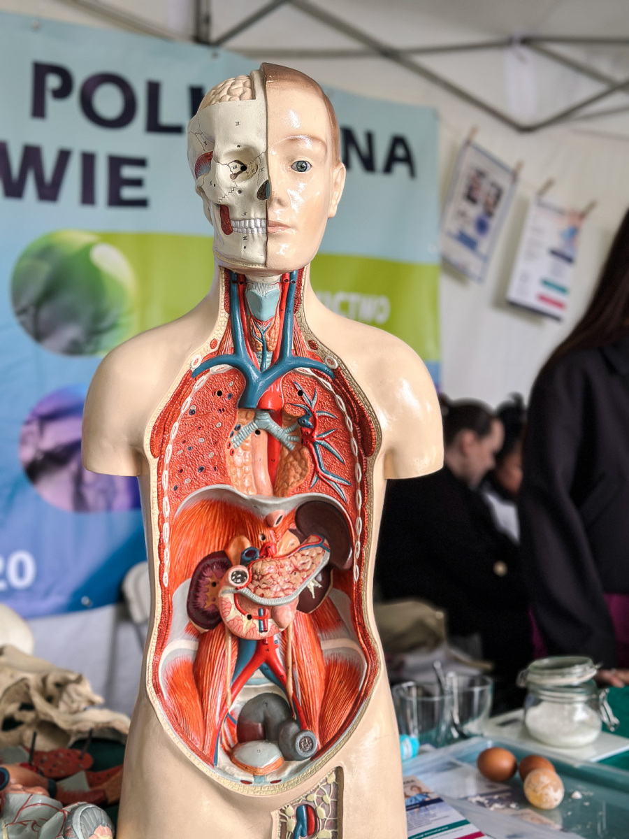 Rzeszów - Piknik Nauki Eksploracje 2025: Sobota Pełna Wrażeń