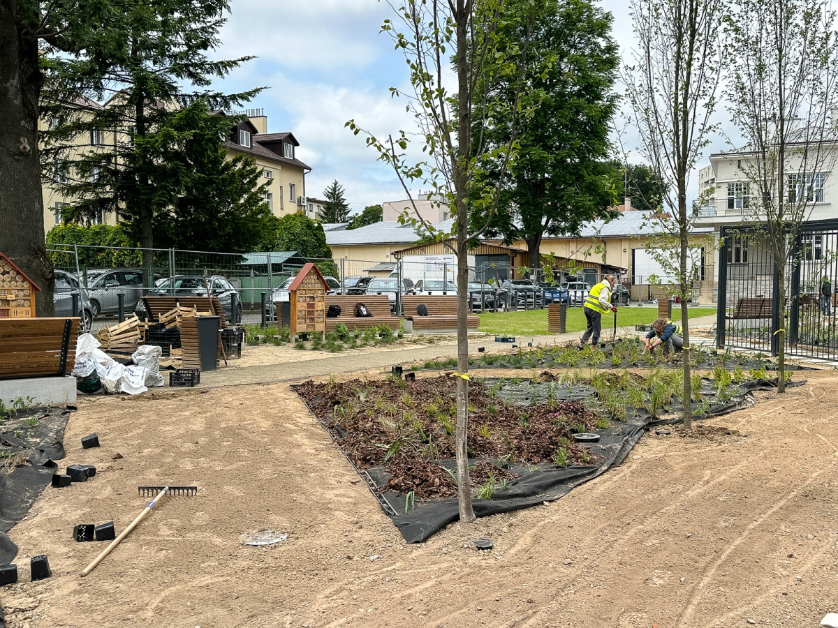 Rzeszów - Budowa ogrodu kieszonkowego w centrum Rzeszowa, przy ul. Jagiellońskiej [czerwiec 2025]