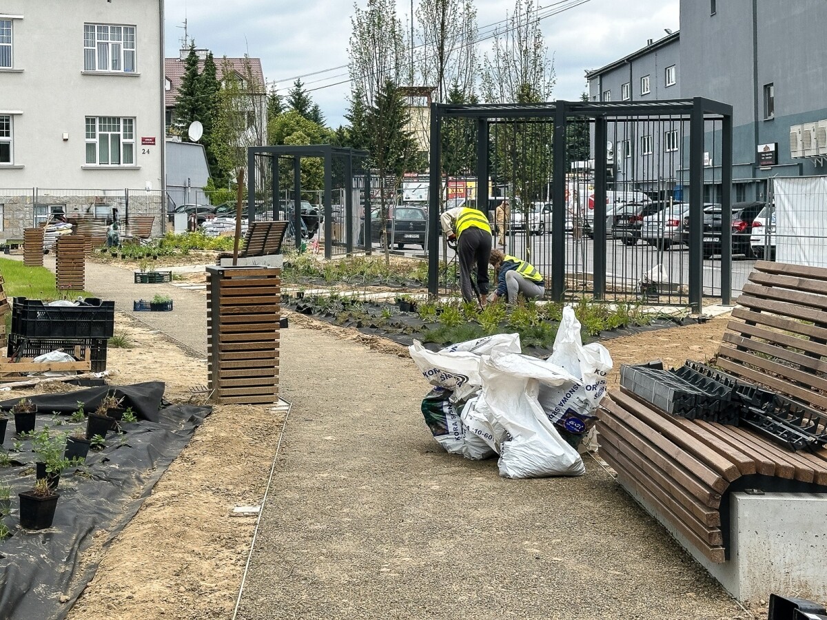 Rzeszów - Budowa ogrodu kieszonkowego w centrum Rzeszowa, przy ul. Jagiellońskiej [czerwiec 2025]