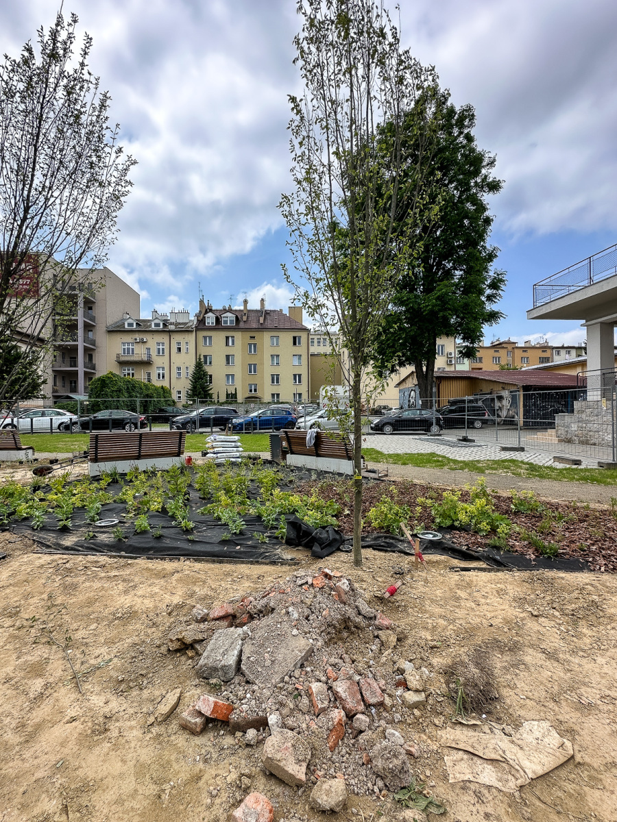 Rzeszów - Budowa ogrodu kieszonkowego w centrum Rzeszowa, przy ul. Jagiellońskiej [czerwiec 2025]