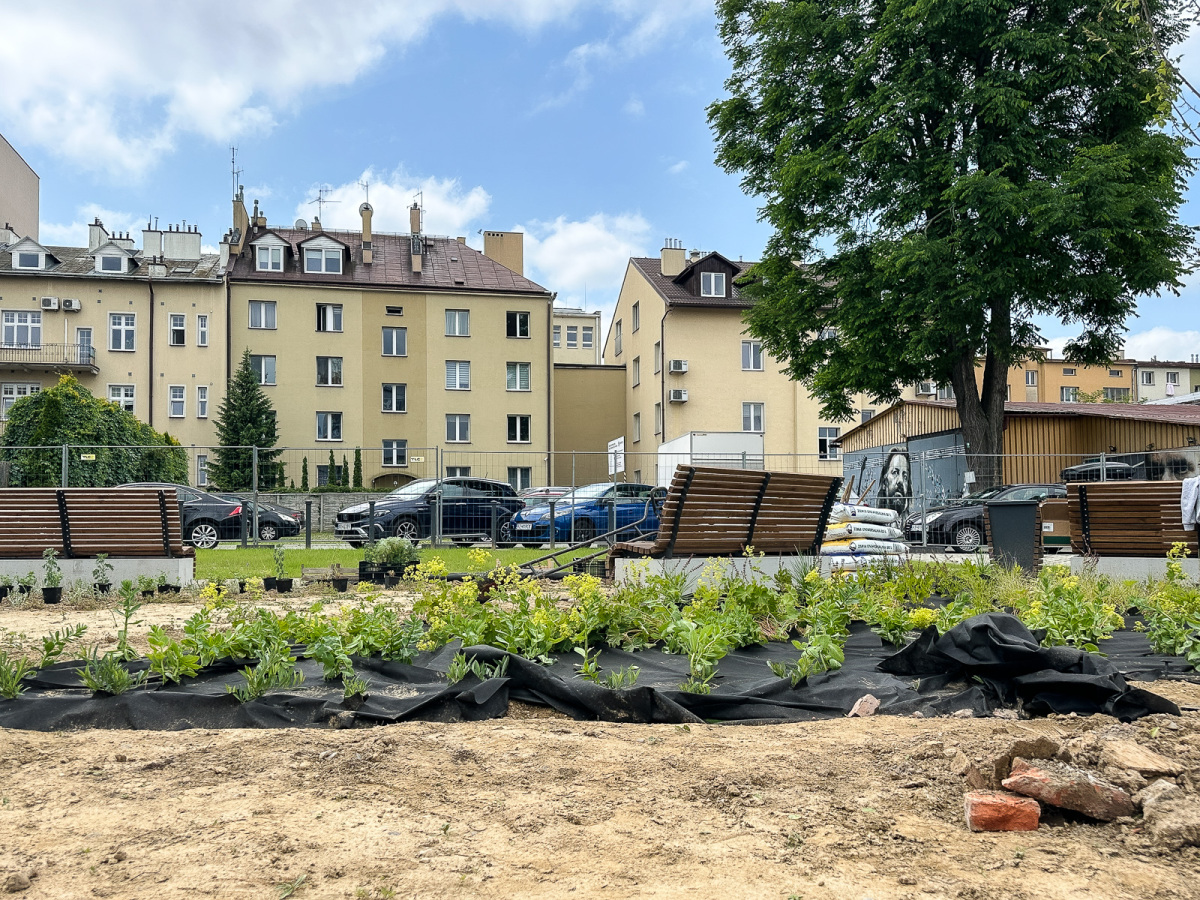 Rzeszów - Budowa ogrodu kieszonkowego w centrum Rzeszowa, przy ul. Jagiellońskiej [czerwiec 2025]