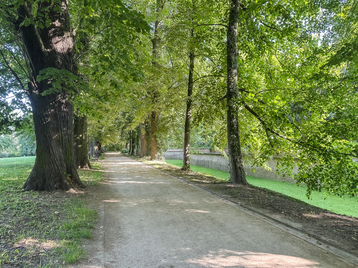 Rzeszów - Spacer po parku łańcuckiego Zamku