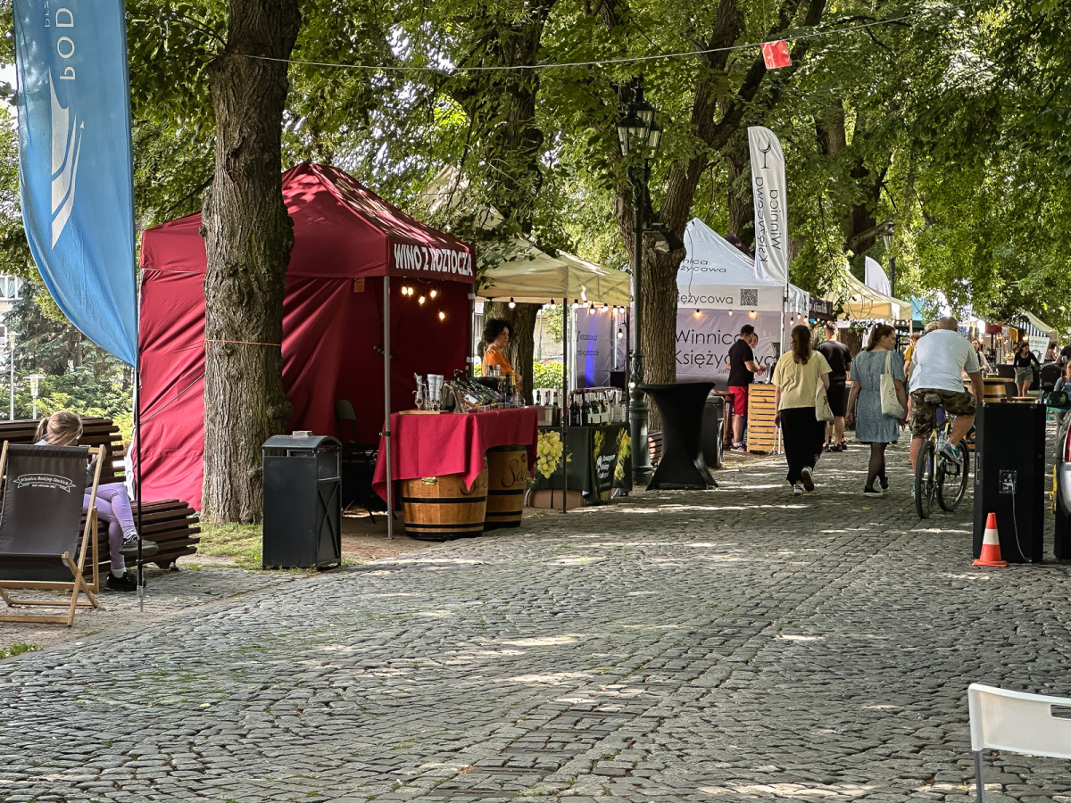 Rzeszów - ESK 2025: Wschód Wina przy al. Lubomirskich