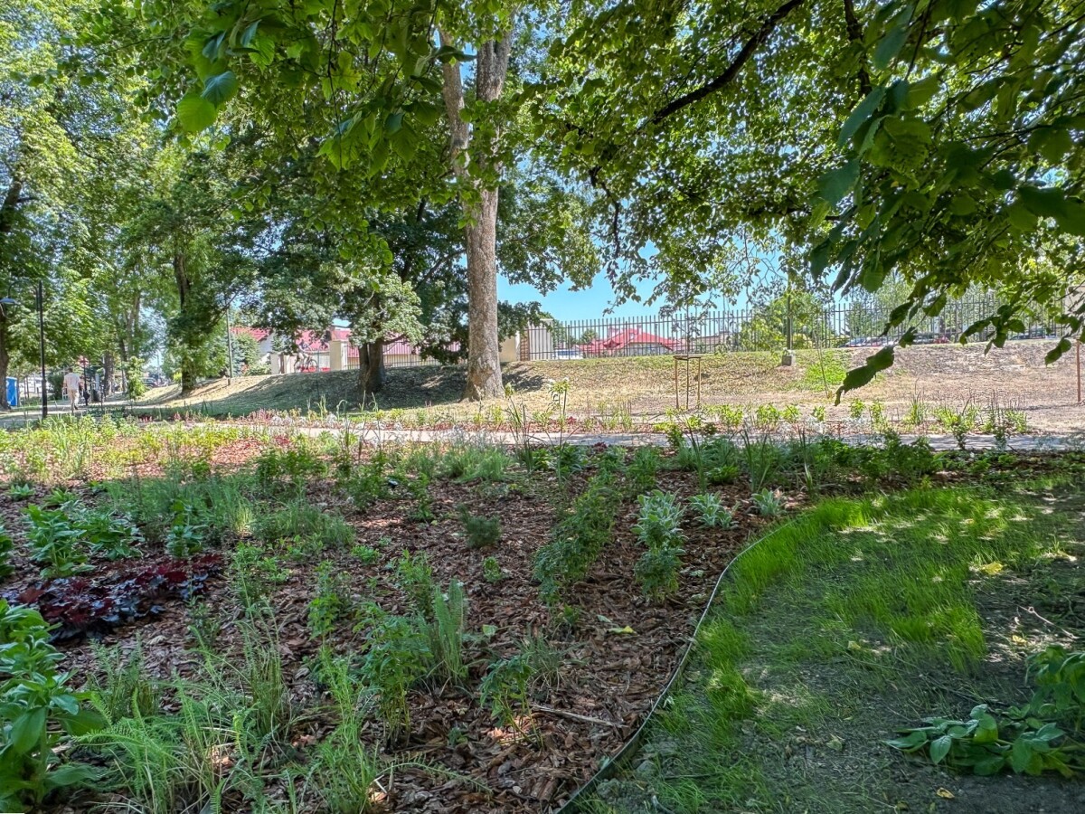 Rzeszów - Lato w zrewitalizowanym parku na osiedlu Słocina [lipiec 2025]