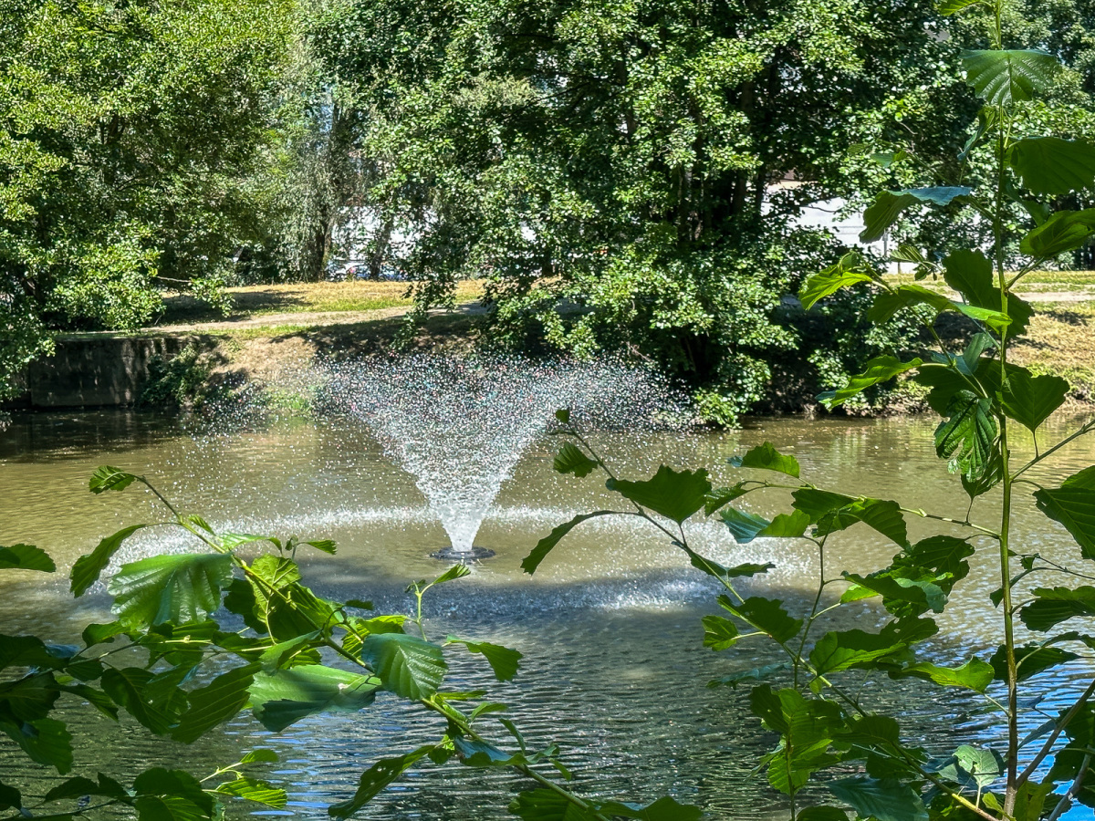 Rzeszów - Lato w zrewitalizowanym parku na osiedlu Słocina [lipiec 2025]