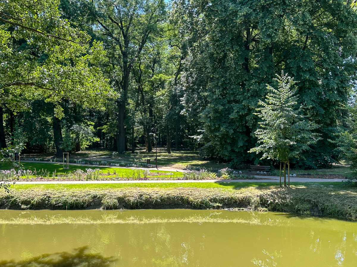 Rzeszów - Lato w zrewitalizowanym parku na osiedlu Słocina [lipiec 2025]