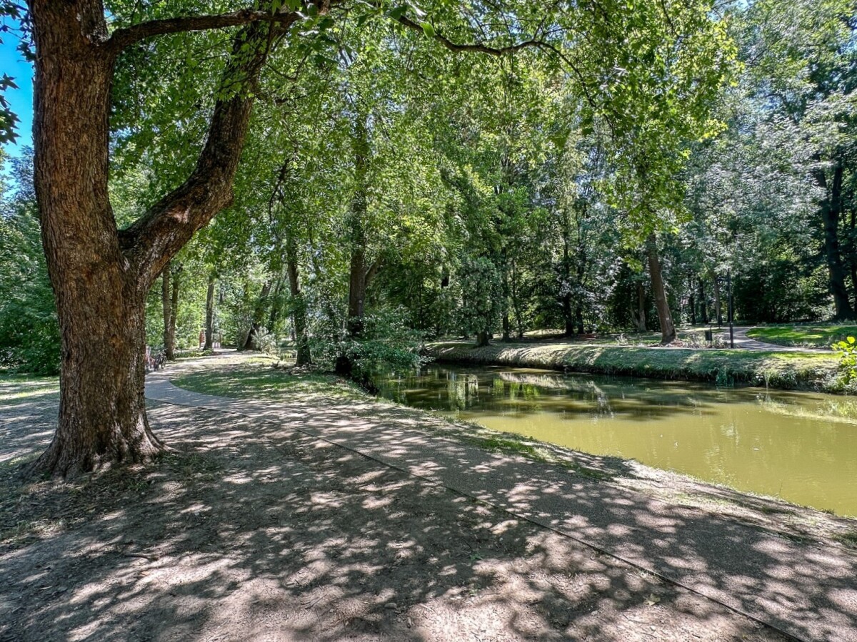 Rzeszów - Lato w zrewitalizowanym parku na osiedlu Słocina [lipiec 2025]