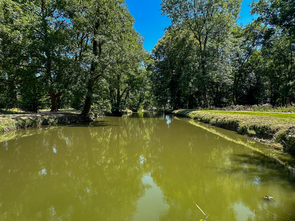 Rzeszów - Lato w zrewitalizowanym parku na osiedlu Słocina [lipiec 2025]