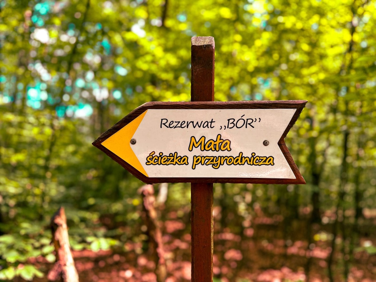 Rzeszów - Rezerwat Przyrody "BÓR" niedaleko Rzeszowa