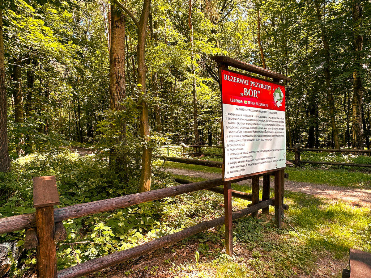 Rzeszów - Rezerwat Przyrody "BÓR" niedaleko Rzeszowa