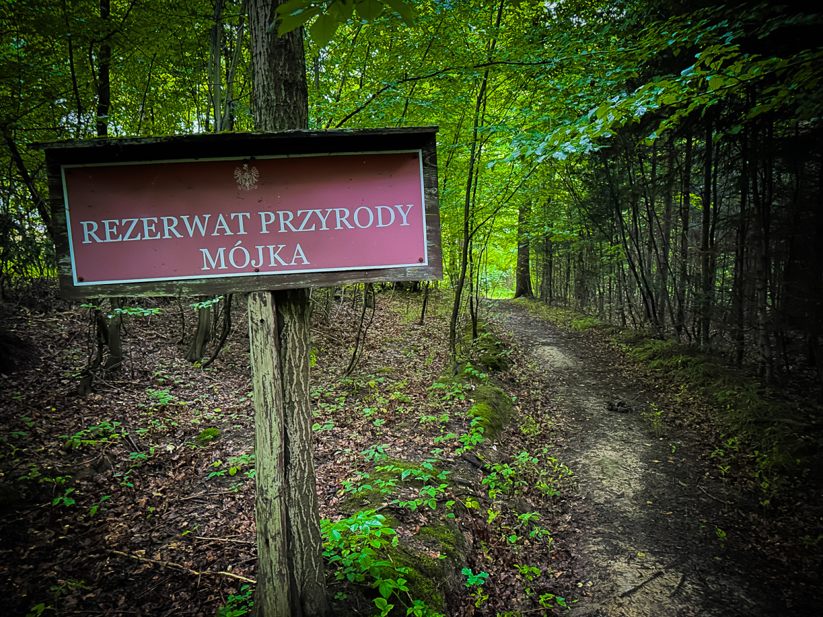 Rzeszów - Rezerwat przyrody "Mójka" - spacer szlakiem Jelenia