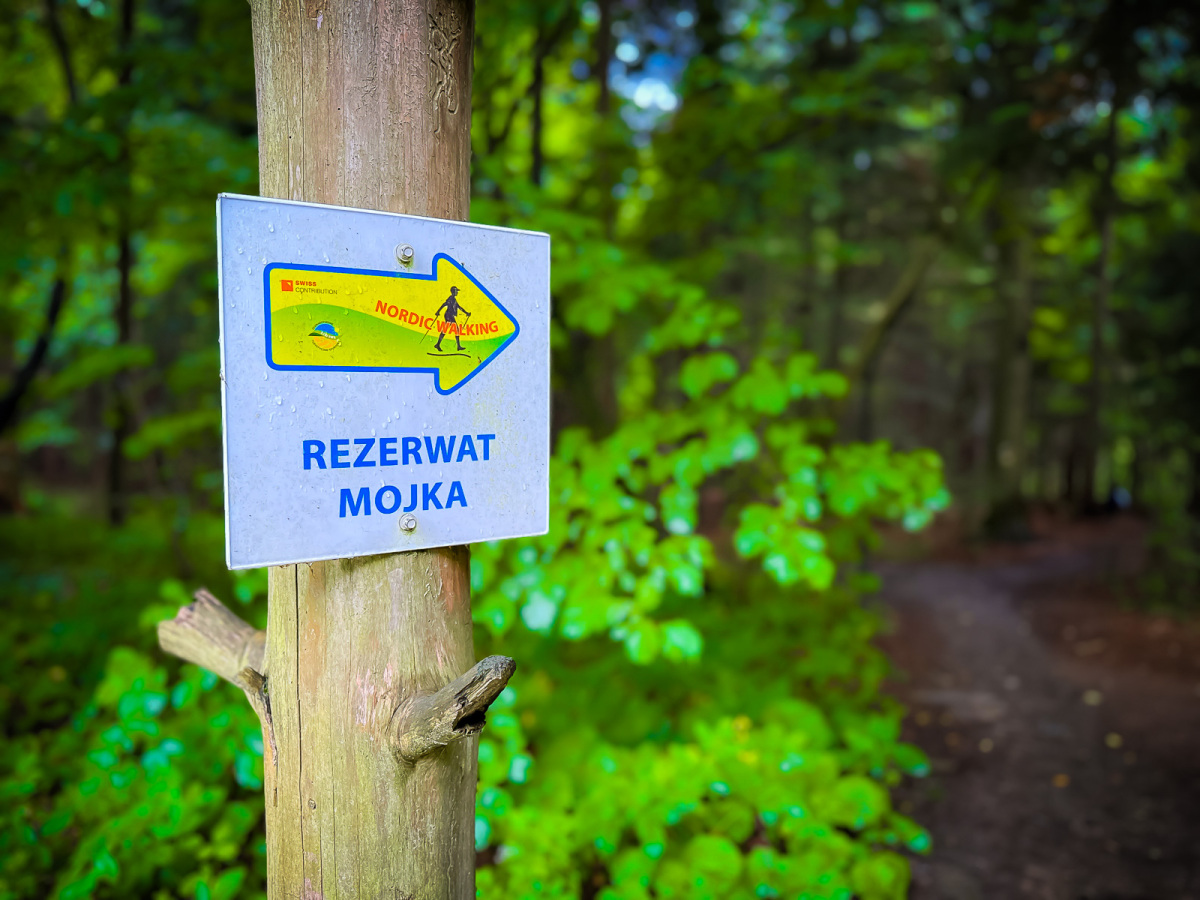 Rzeszów - Rezerwat przyrody "Mójka" - spacer szlakiem Jelenia