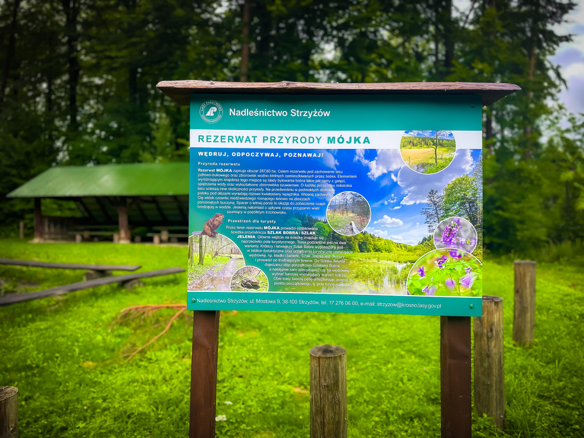Rzeszów - Rezerwat przyrody "Mójka" - spacer szlakiem Jelenia