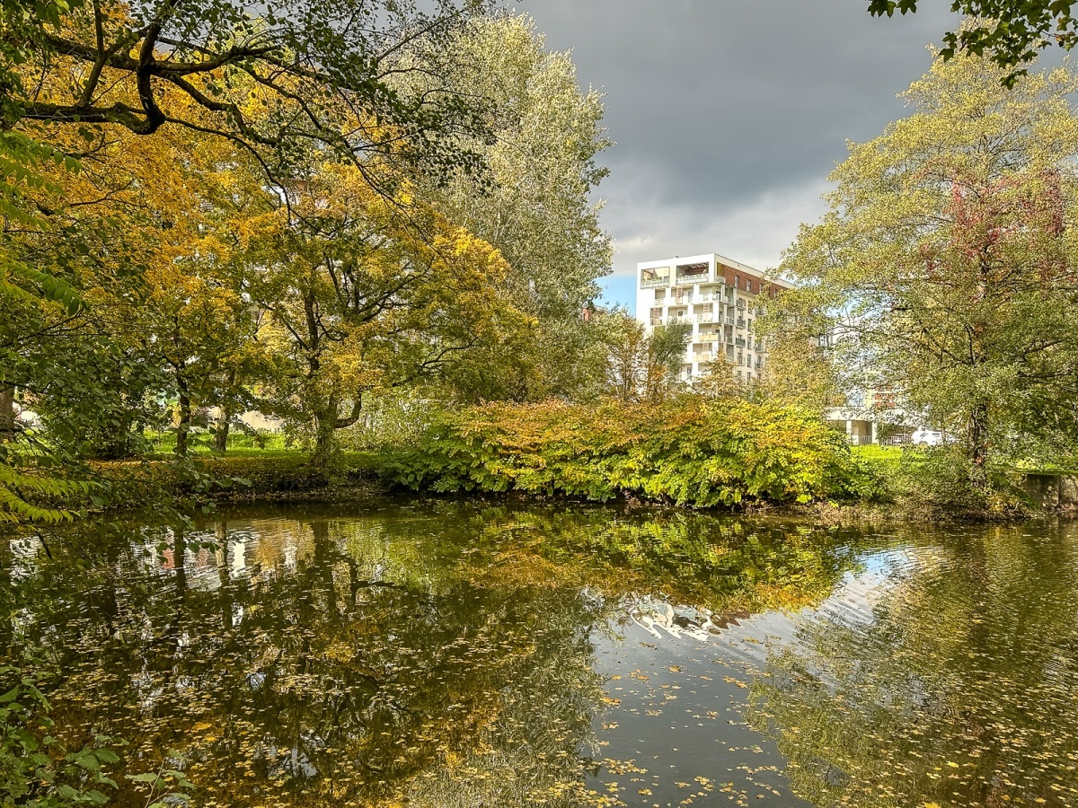Jesień w parku Szafera - Rzeszów, Krajobraz