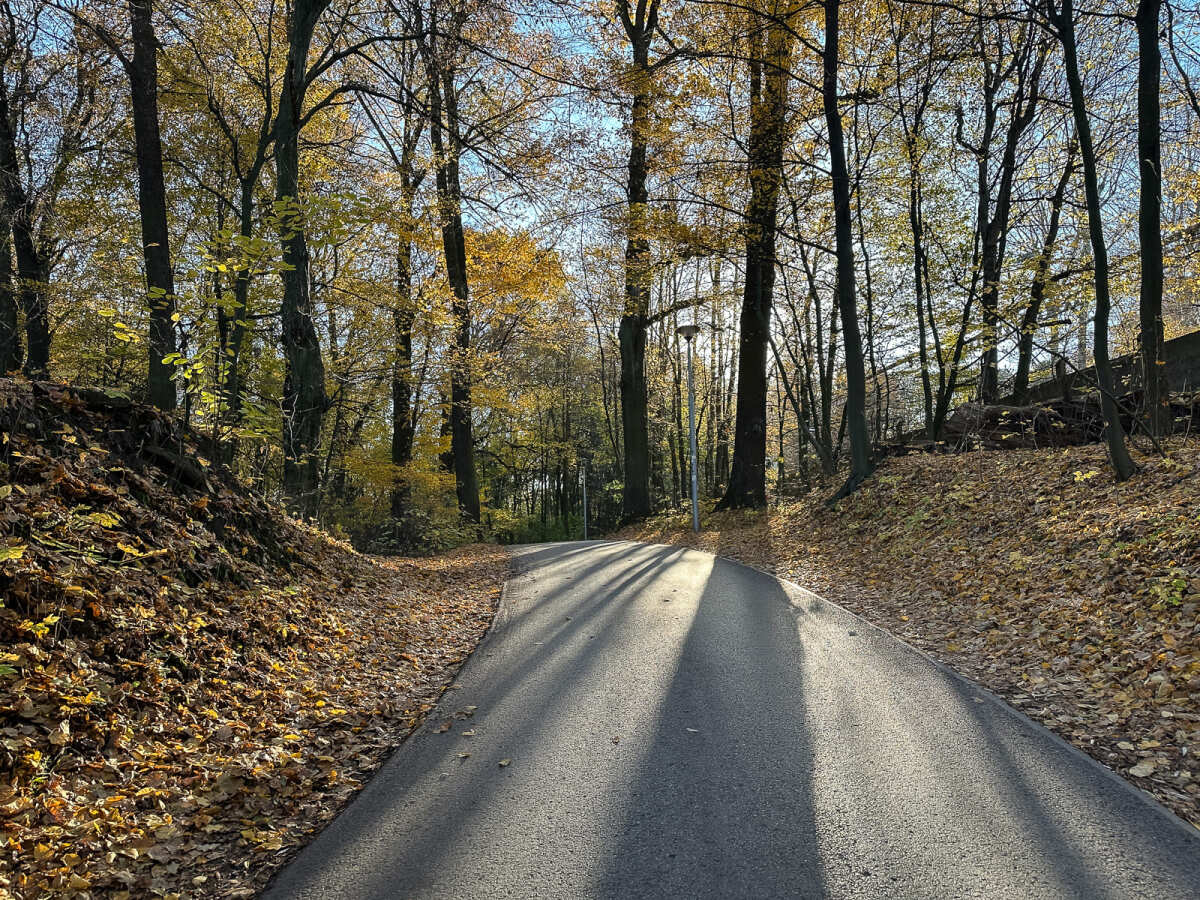 Rzeszów - Jesienny spacer po Lisiej Górze