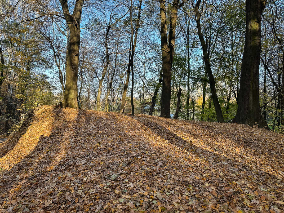 Rzeszów - Jesienny spacer po Lisiej Górze