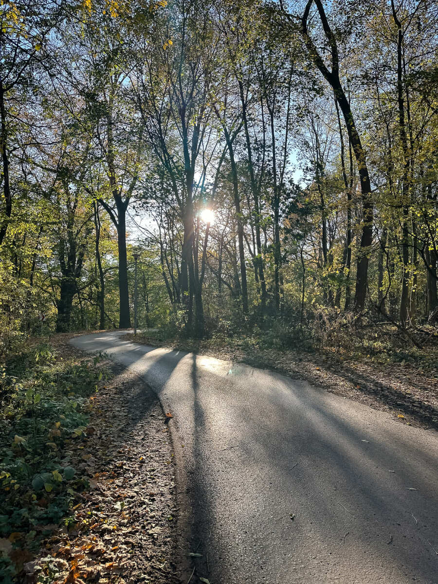 Rzeszów - Jesienny spacer po Lisiej Górze