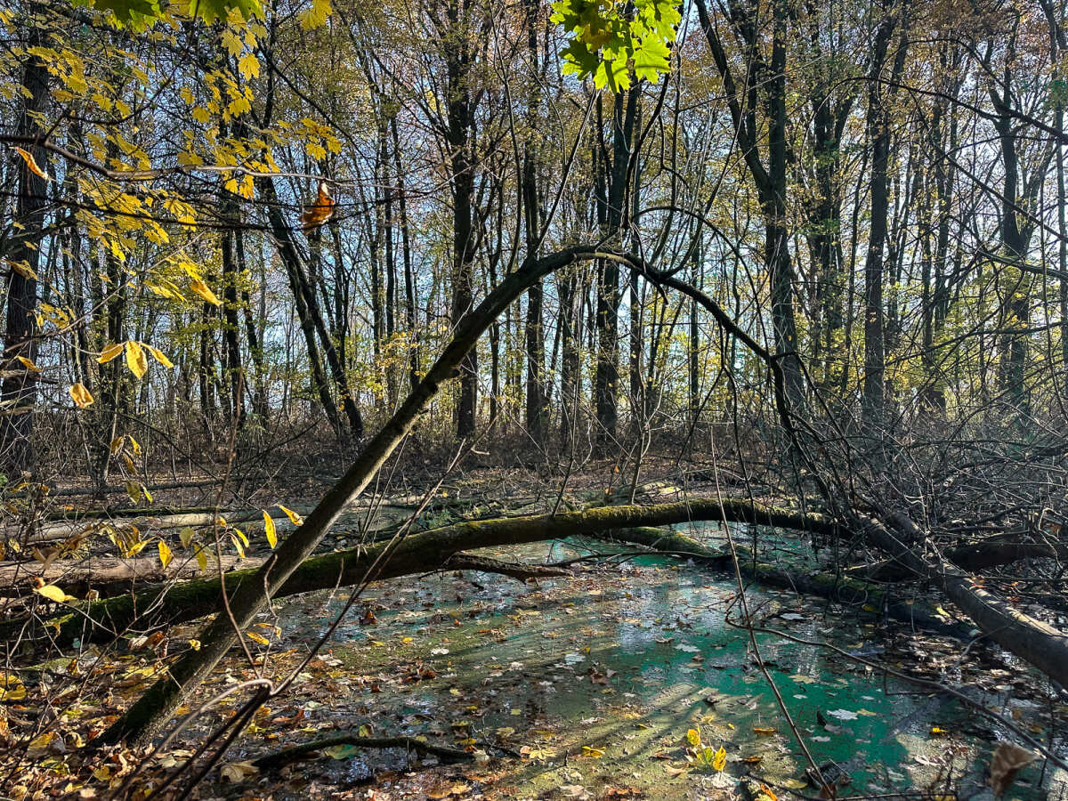 Rzeszów - Jesienny spacer po Lisiej Górze