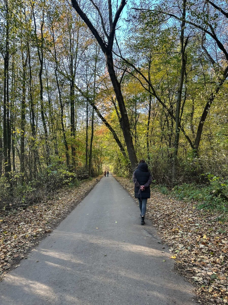 Rzeszów - Jesienny spacer po Lisiej Górze