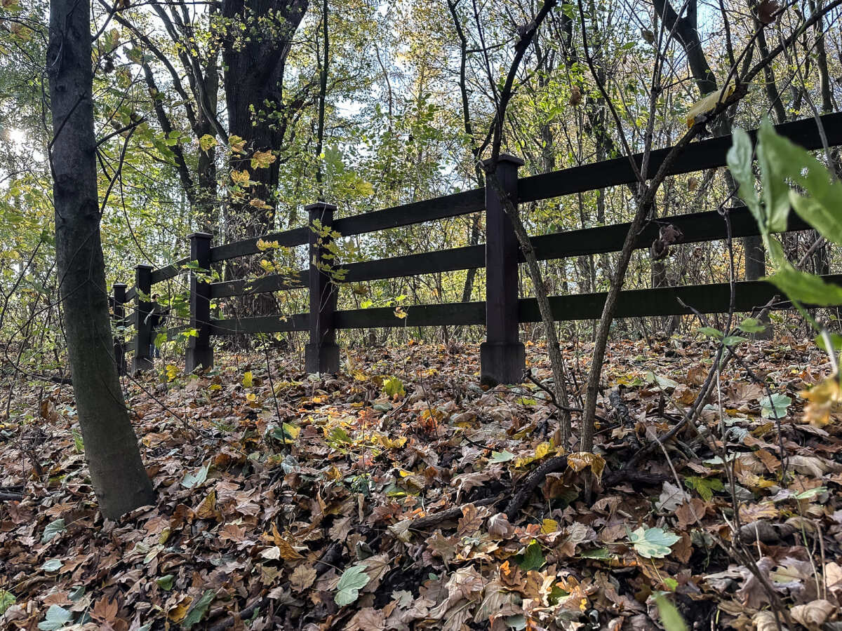 Rzeszów - Jesienny spacer po Lisiej Górze