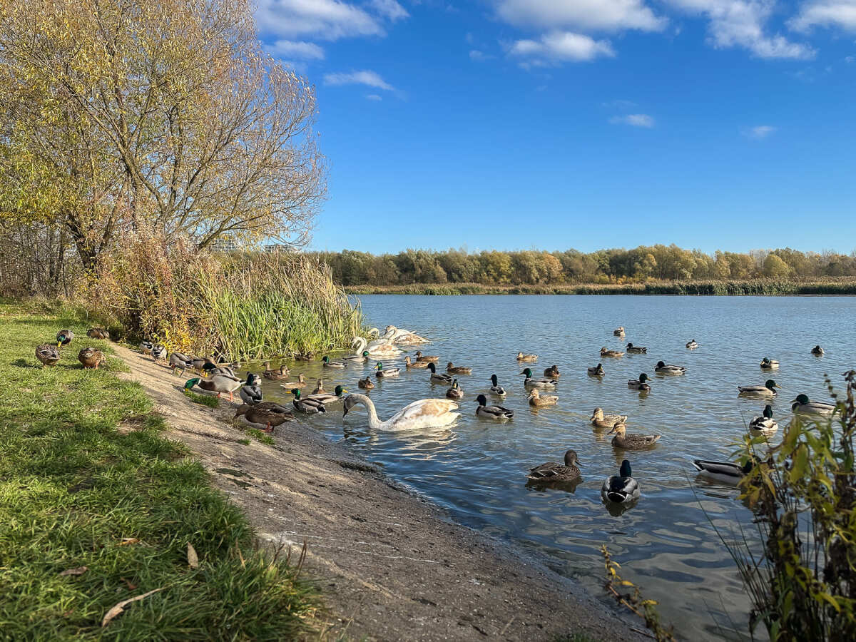 Rzeszów - Jesienny spacer po Lisiej Górze