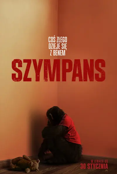 Szympans