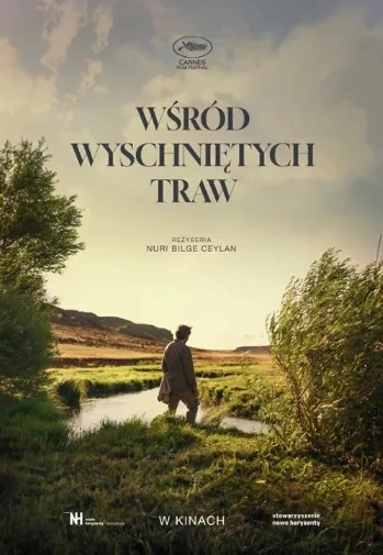 Wśród wyschniętych traw