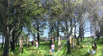 Ponad 1200 krzewów i 50 urządzeń zabawowych w parku przy ul. Bł. Karoliny - Aktualności Rzeszów