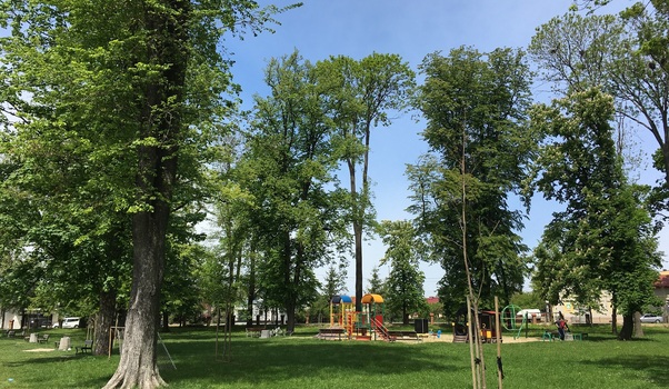 Rewitalizacja parku na osiedlu Zalesie - Aktualności Rzeszów
