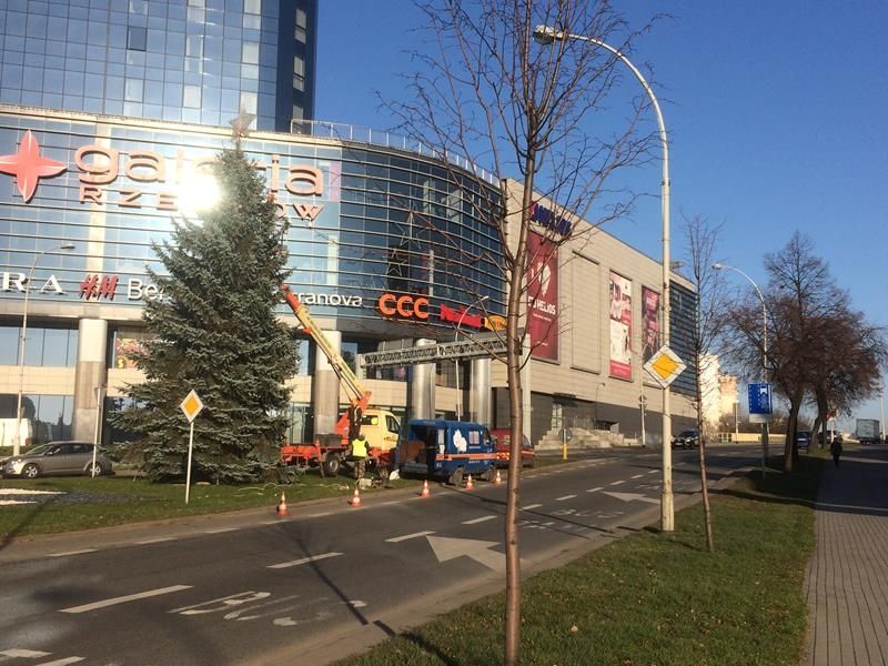 W Rzeszowie rozpoczęto montaż świątecznych iluminacji - Aktualności Rzeszów - zdj. 3
